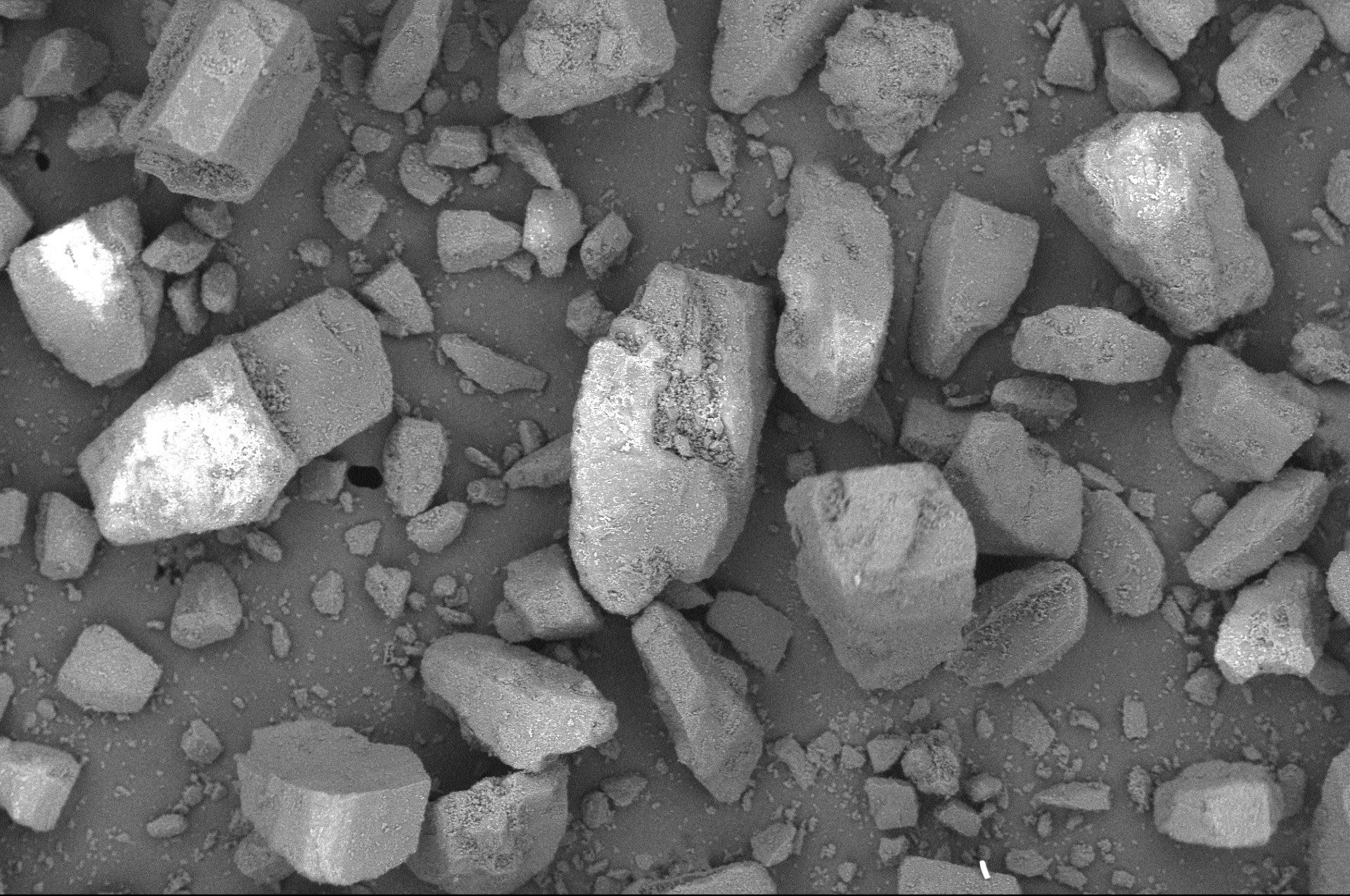 Pharmatose 110M Monohydrate Lactose Excipient
