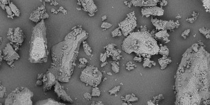 Pharmatose 450M Monohydrate Lactose Excipient