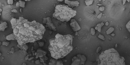 Biohale Trehalose Dihydrate Inhalation Excipient