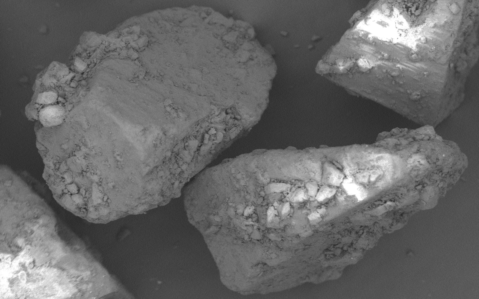 Pharmatose 50M Monohydrate Lactose Excipient
