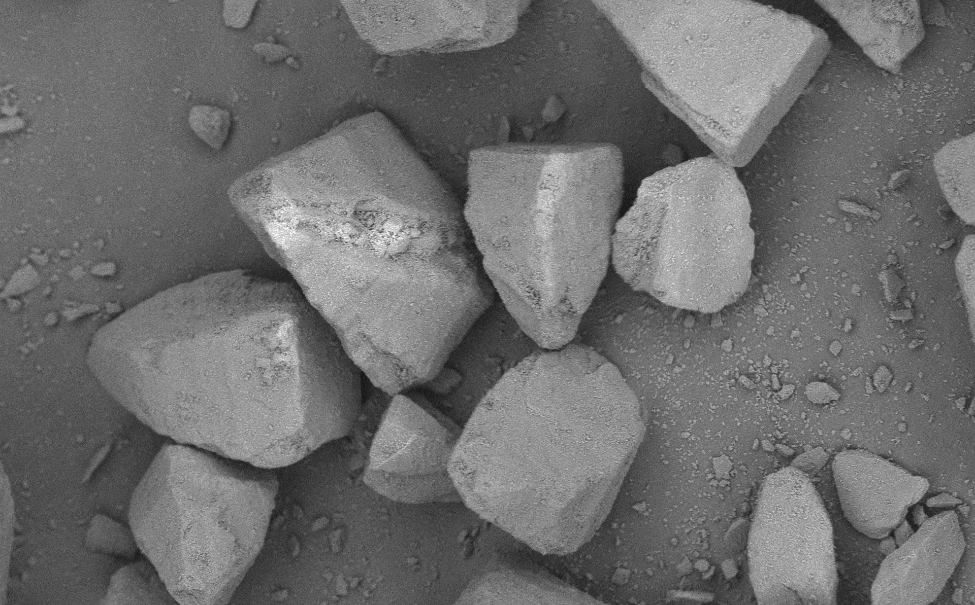 Pharmatose 60M Monohydrate Lactose Excipient
