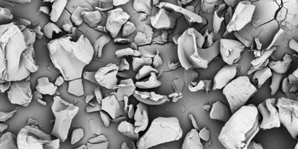 Prejel Starch Binder Excipient