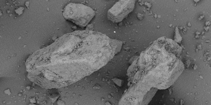 Pharmatose 80M Monohydrate Lactose Excipient