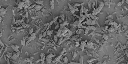 Pharmacel Mcc101 Microcrystalline Cellulose Excipient