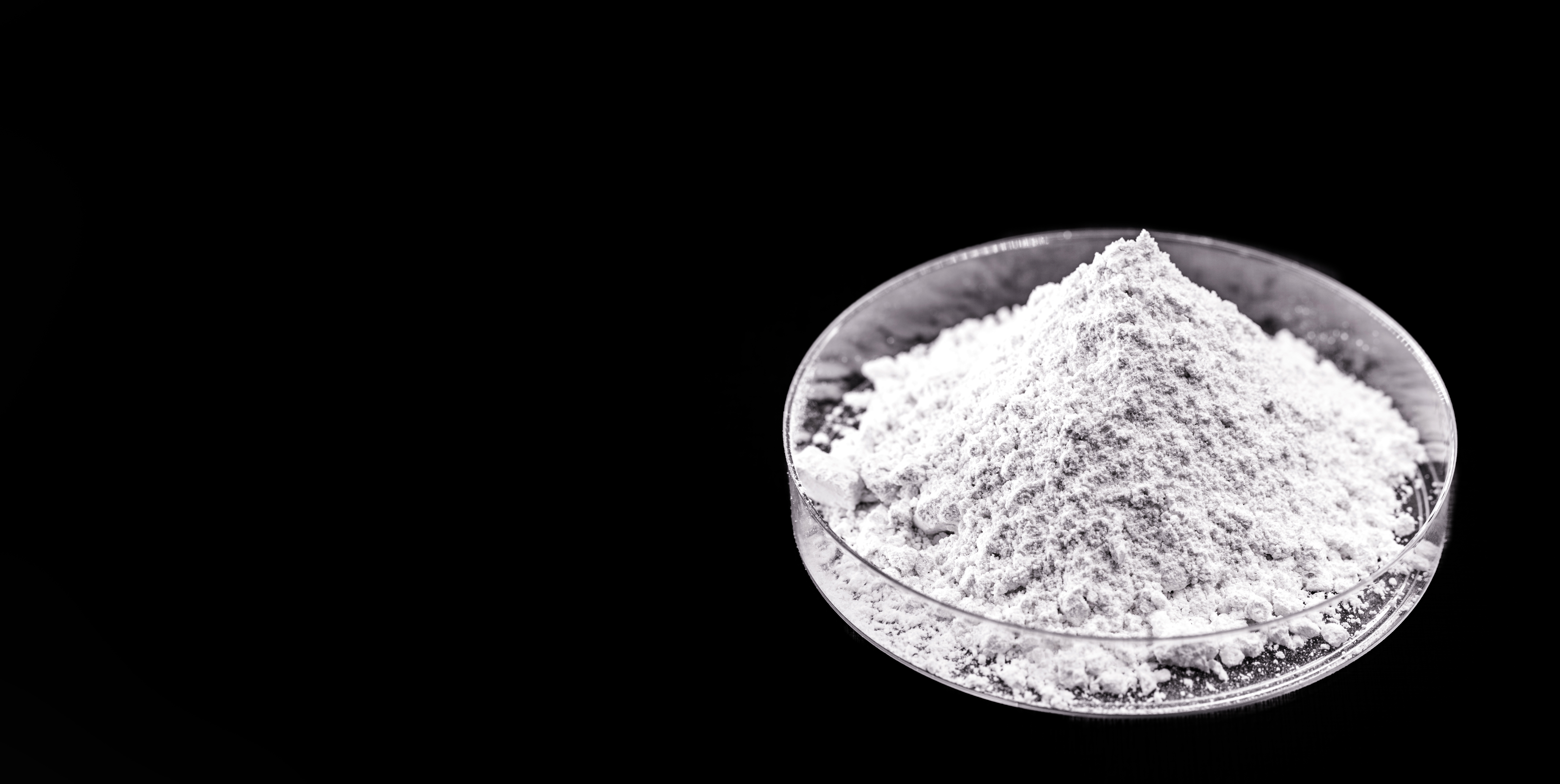 Shutterstock 1917350279